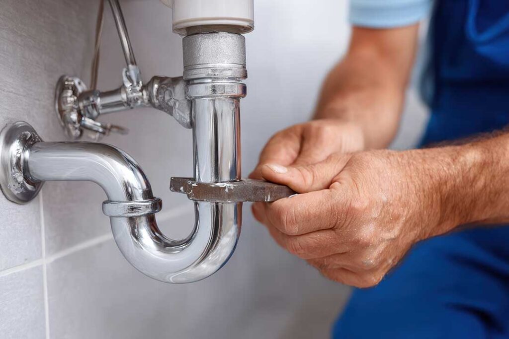 A small dog and a curious cat examining the base of a kitchen sink cabinet with visible plumbing pipes.